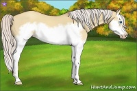 Horse Color:Silver Classic Champagne Dun Splash Frame 