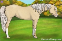 Horse Color:Silver Classic Champagne Dun Splash Frame
