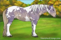 Horse Color:Watercolor White Spotted Chocolate Palomino Tobiano 