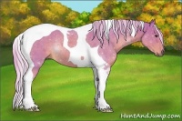 Horse Color:Watercolor Palomino Tobiano Rabicano 