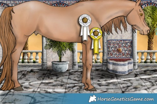 Horse Color:Brown Pearl 