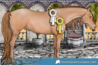 Horse Color:Brown Pearl 