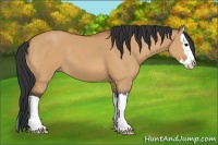 Horse Color:Bay Dun Sabino Splash 