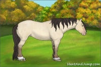 Horse Color:Amber Champagne Roan Dun