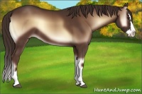 Horse Color:Red Onyx Sabino Splash 