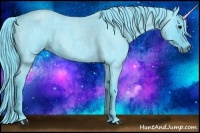 Horse Color:Watercolor Blue Roan