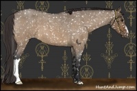Horse Color:Bay Roan Dun Snowflake Varnish