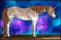 Horse Color:White Spotted Red Roan Splash