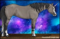 Horse Color:Grullo Roan Splash 