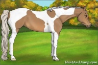 Horse Color:Silver Buckskin Tobiano 