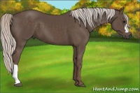 Horse Color:Silver Black 