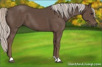 Horse Color:Silver Black 