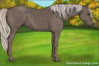 Horse Color:Silver Black 