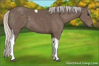 Horse Color:Silver Black Tobiano 