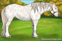 Horse Color:Perlino Tobiano Near Leopard 