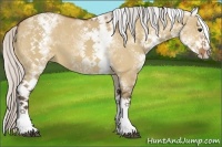 Horse Color:White Spotted Silver Bay Dun Splash 