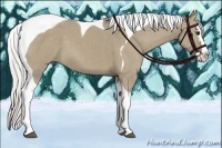 Horse Color:Silver Smoky Grullo Splash Tobiano 