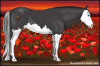 Horse Color:Smoky Black Splash 