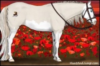 Horse Color:Smoky Creme Roan Splash 