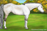 Horse Color:Gray Bay Dun 