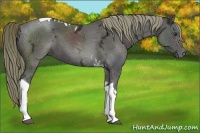 Horse Color:Liver Chestnut Ice Tobiano 