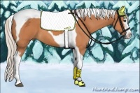 Horse Color:White Spotted Silver Bay Splash Tobiano