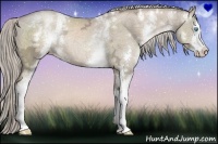 Horse Color:White Spotted Chocolate Palomino Ice Pearl Sabino