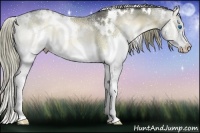 Horse Color:White Spotted Liver Red Onyx Ice Splash Rabicano 