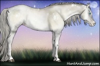 Horse Color:White Spotted Chocolate Palomino Ice Pearl Onyx Rabicano Brindle 