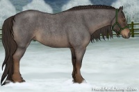 Horse Color:Liver Red Roan 