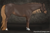 Horse Color:Liver Chestnut