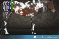Horse Color:White Spotted Liver Chestnut 