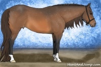 Horse Color:Buckskin Varnish