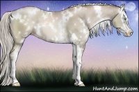 Horse Color:White Spotted Chocolate Palomino Pearl Splash 
