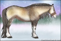 Horse Color:Chocolate Palomino Onyx Sabino Appaloosa