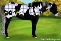 Horse Color:Plaid  White Spotted Sable Champagne Chinchilla Onyx Splash 