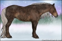 Horse Color:Silver Black Ice Sabino 