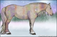 Horse Color:Nacre Silver Grullo 
