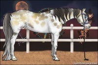 Horse Color:White Spotted Liver Red Dun Onyx Splash Brindle