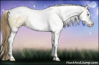 Horse Color:Liver Red Dun Ice Pearl Sabino Splash Tobiano Rabicano