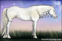 Horse Color:White Spotted Liver Red Dun Pearl Splash Rabicano 