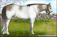 Horse Color:White Spotted Liver Red Dun Roan Rabicano