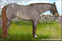 Horse Color:Liver Red Roan Rabicano