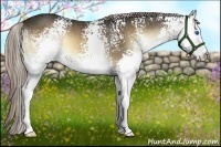 Horse Color:White Spotted Liver Red Onyx Splash 