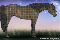 Horse Color:Plaid  Brown 