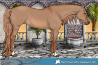 Horse Color:Red Dun 