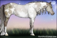 Horse Color:White Spotted Liver Red Dun Ice 