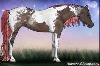 Horse Color:Painted Bay Tobiano 