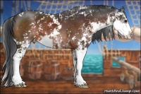 Horse Color:Brown Sabino
