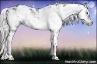 Horse Color:Silver Blue Onyx Chinchilla Sabino